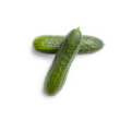 vegetable